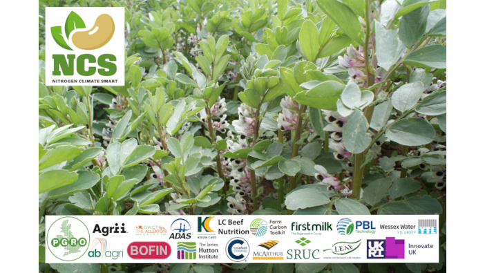 Ambitious pulse-growing project supported by new online service Defra-funded pulse project launch