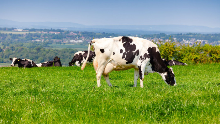 UFAC-UK advise oil supplementation to maximise butterfats