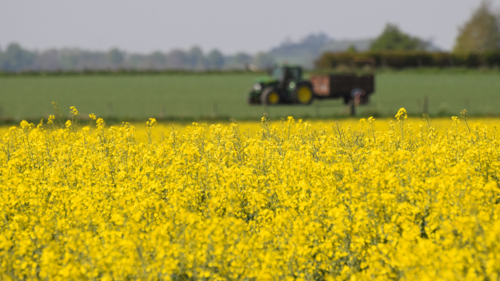 Attention to detail will be key to improving arable margins