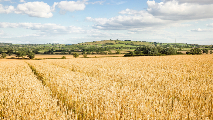 Fera Science offering support to farmers with SFI options pesticides