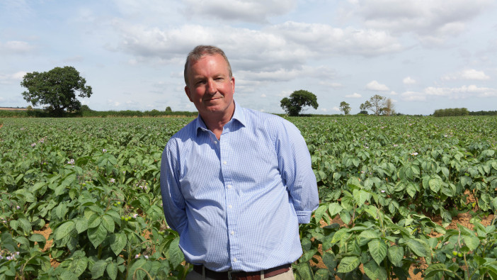 Yara advises growers on brassica nutrition during the tricky season