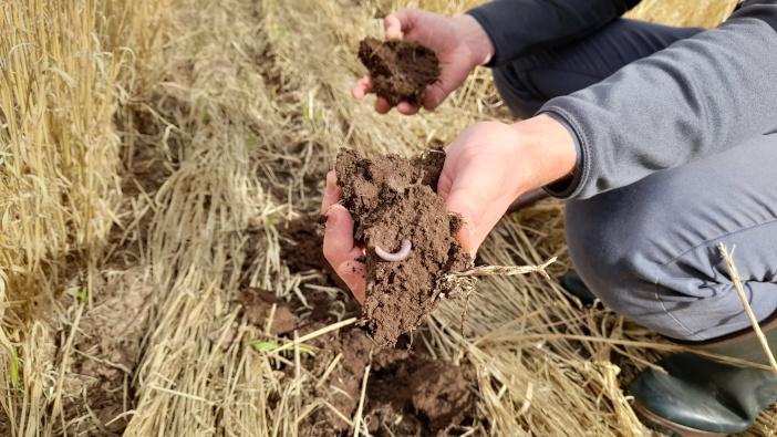 Crop rotations key to soil group success