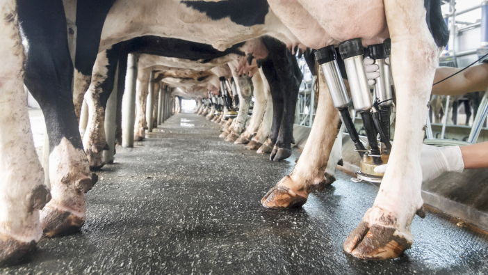 Government outlines new regulations for the dairy industry