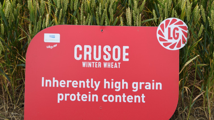 Quality wheat pioneer announces retirement