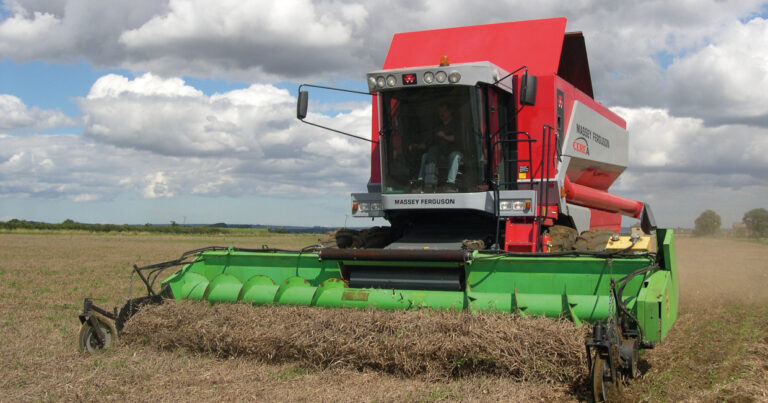 NAGA 2023 Protein Grower of the Year: A chance that paid off