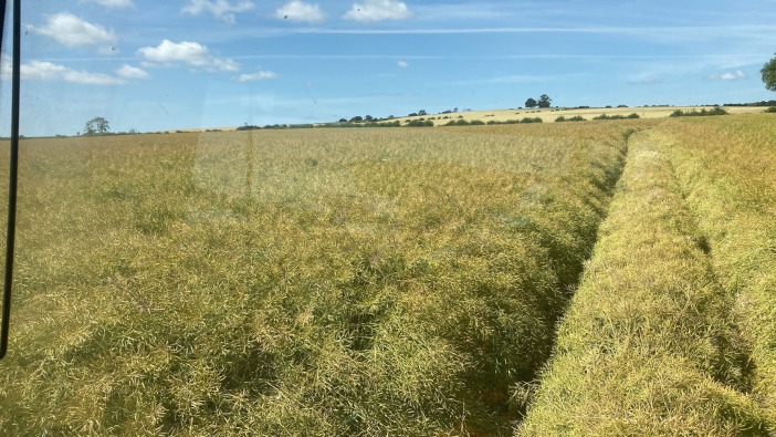 Later OSR drilling can lead to success