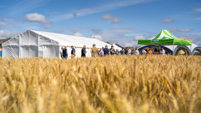 BASF reveals interim results for Project Fortress