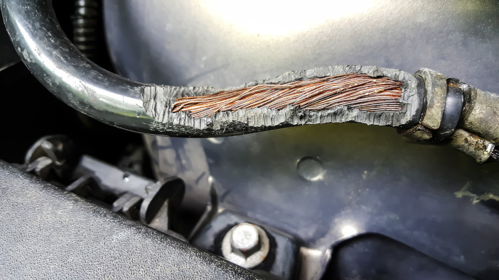 Advice for protecting machinery from rodent damage