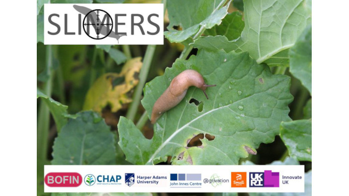 BOFIN launch SLIMERS project to combat slugs