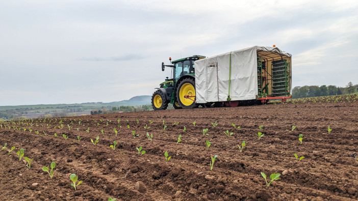 NAGA 2023 Grower of the Year: A commitment to the highest quality