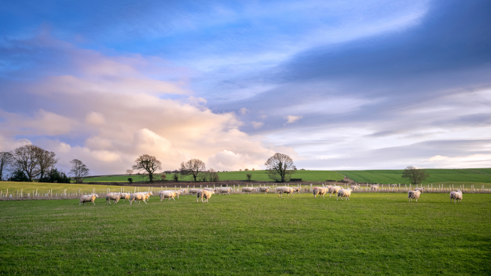 NFU calls on ministers to ‘do the right thing’ over delayed farm payments