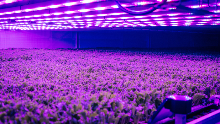 Lords’ Committee visits Kent vertical farm