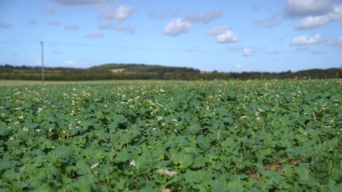 Survey shows best way to ensure OSR success