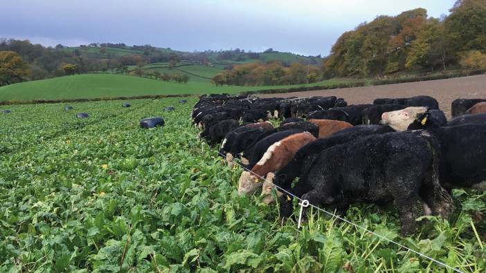 NAGA 2023 Grassland Manager of the Year: Rising to the challenge