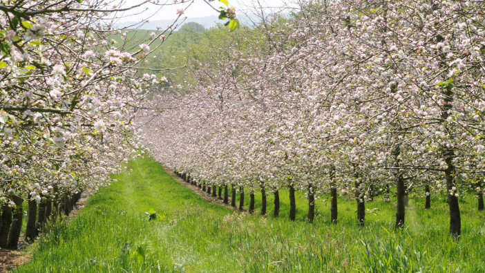 South West AgriTech Showcase returns