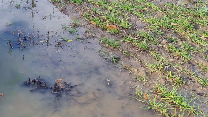 Measuring the cost of compaction