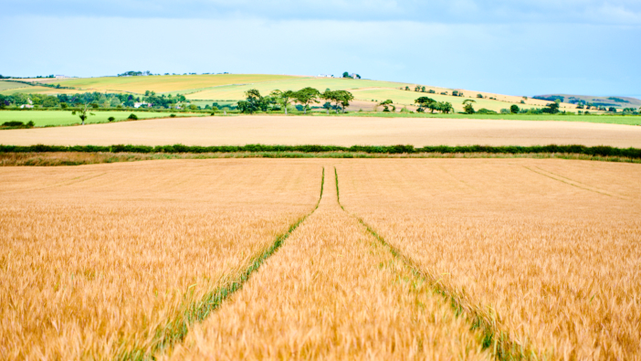 Hutchinsons gauge farmer engagement with SFI