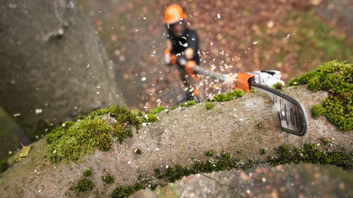 New pole pruners from Stihl offer increased power