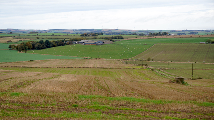 Carter Jonas predicts farmland market to stay strong in 2024