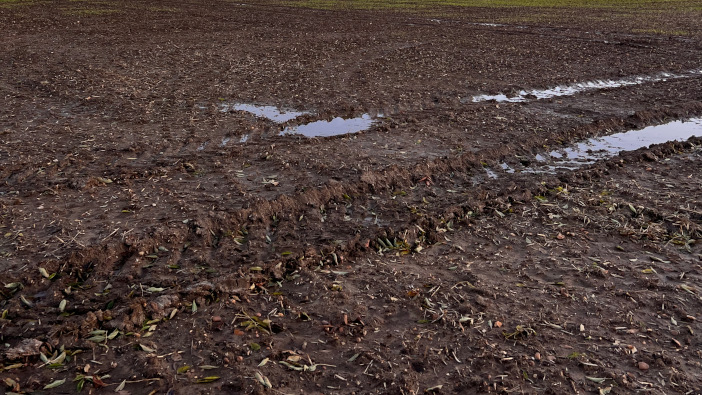 Biostimulants could offer cost-effective damage limitation in flood affected crops