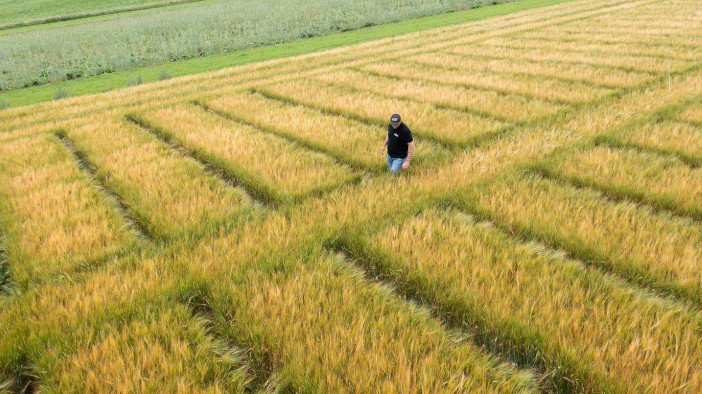 James Hutton Institute to co-lead major research project into land use