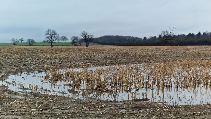 Test soils to assess damage from waterlogging