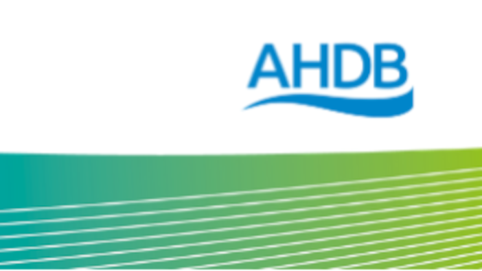 AHDB transfers horticultural royalties