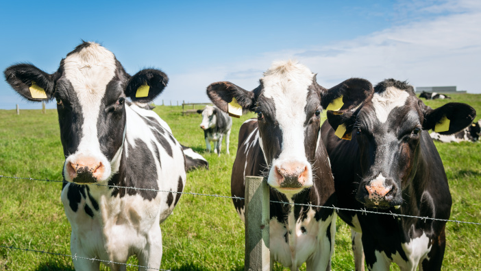 Funded vet visits to help farmers tackle endemic diseases