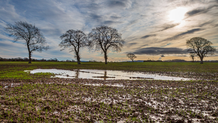 Advice for waterlogged crops