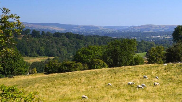 Farmers urged to voice views in Sustainable Farming Scheme consultation