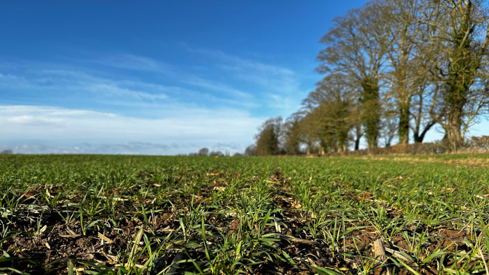 Herbicide strategies need a rethink following wet start to the year