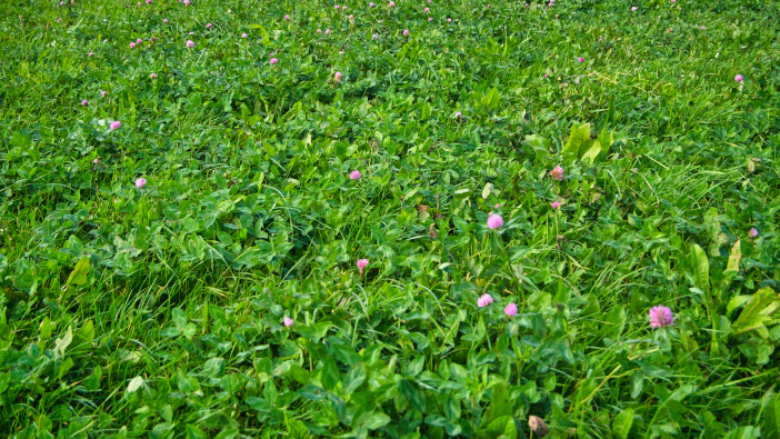 Severn Trent celebrates ten years of STEPS