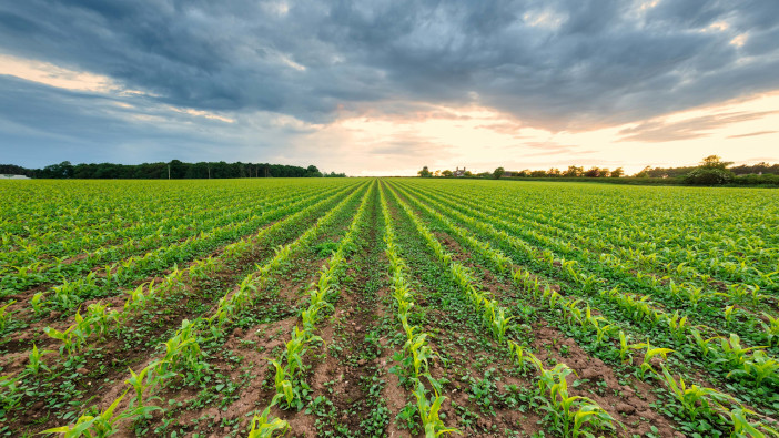 Timac urges growers to make the most of cover crops this spring