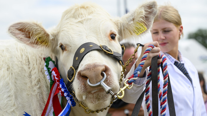 Entries open for Royal Highland competitions