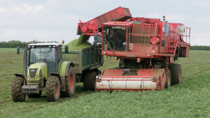 PGRO launches new tool to boost vining pea profitability