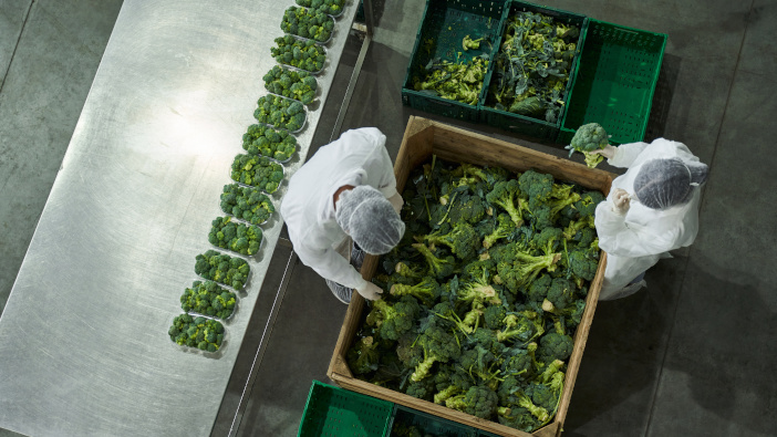 NFU calls for consultation over SMETA ahead of proposed changes