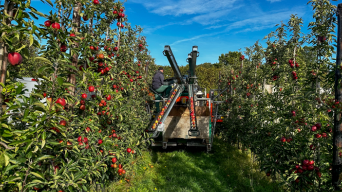 B-hive Innovations gains funding for apple growing project