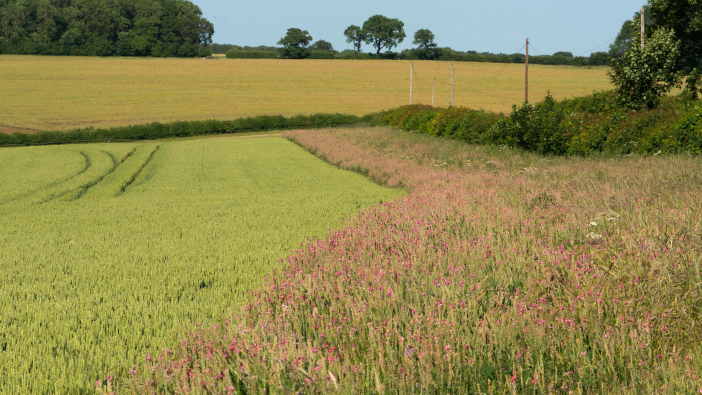 Clarity needed over tax implications of environmental schemes