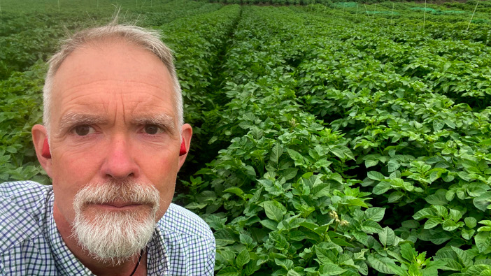 Metribuzin confirmed safe for mainline potato variety