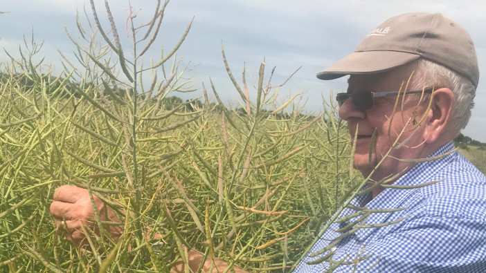 UK conventional rape variety tops AHDB Recommended List