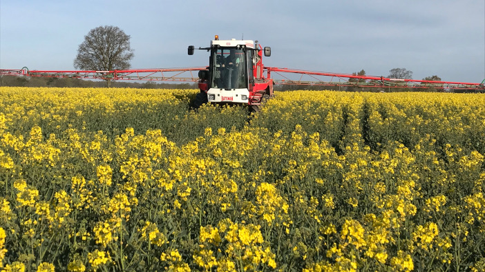 Sclerotina control more important than ever as OSR area drops