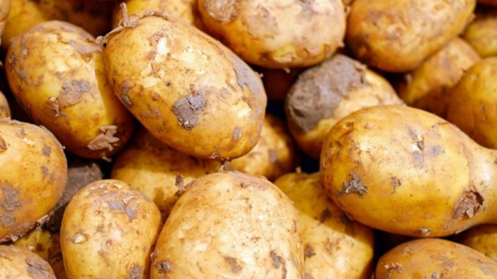 NSP urges growers to ‘lead the charge’ with sustainable nematicide use