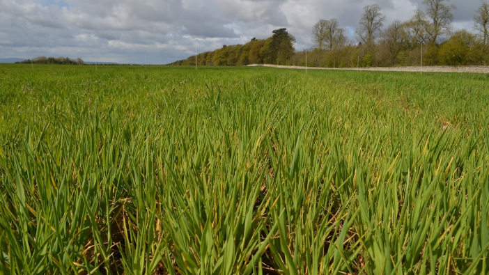 Crop trials to take centre stage at the Arable Event