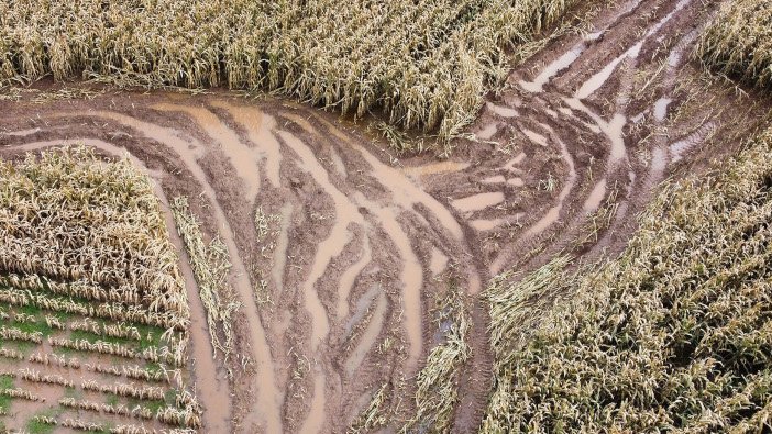 Remedial work needed to reset maize ground after wet winter