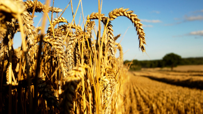 Miravis comes at ideal time given current disease risks