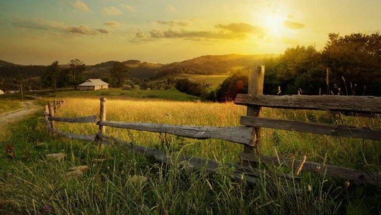 Pilot study to showcase farming’s environmental benefits