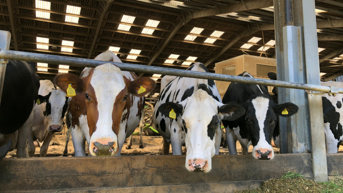 Dairy trials show reduced emissions while also boosting yield
