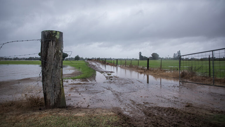 UK farmer confidence hits record low