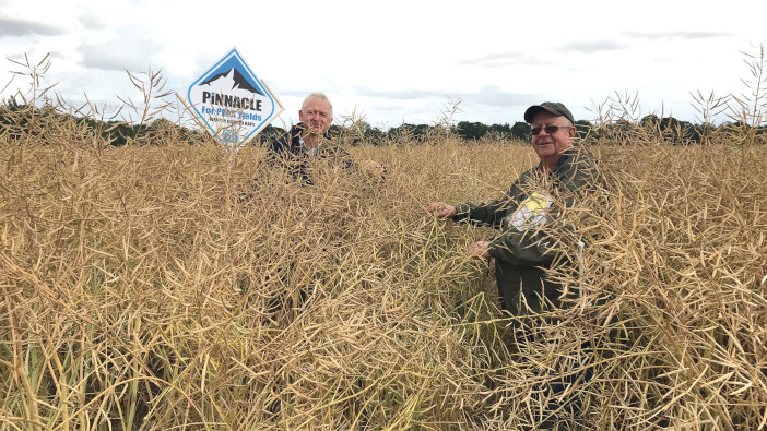 Pinnacle tops Recommended List with strong agronomy profile