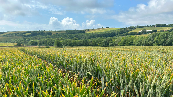 UPL gives away biostimulant